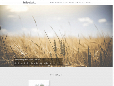 domarkiene.lt snapshot