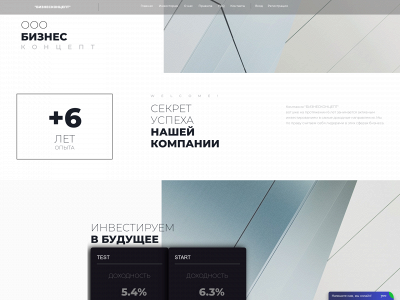 businessconcept.org snapshot