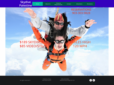 skydivepalestine.com snapshot