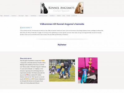 angsmo.se snapshot