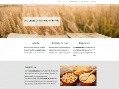 cerealestoledo.es snapshot
