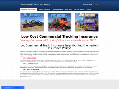 commercialtruckins.weebly.com snapshot