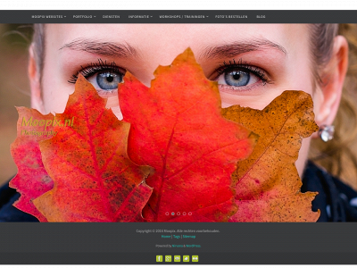 moopix.nl snapshot