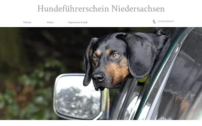 skn-goettingen.de snapshot