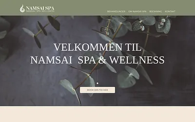 namsaispa.com snapshot