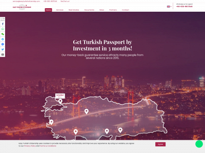 easyturkishcitizenship.com snapshot