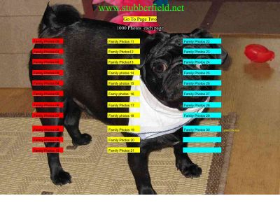 stubberfield.net snapshot