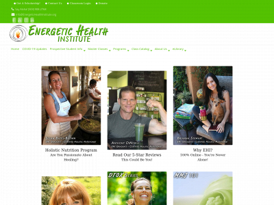 energetichealthinstitute.org snapshot