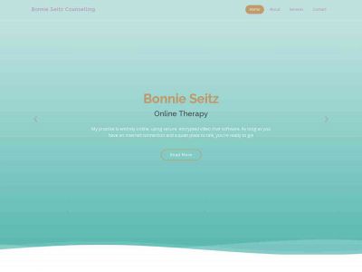 seitzcounselling.ca snapshot