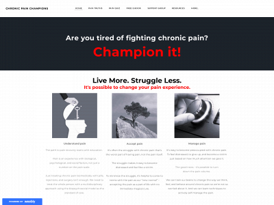 www.chronicpainchampions.com snapshot