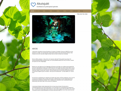 akutsjukt.se snapshot