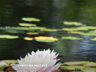 christinamellott.com snapshot