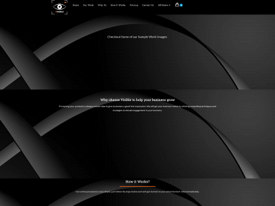 visiblepro.net snapshot