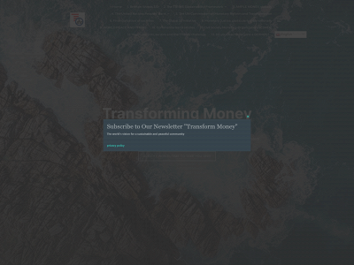 transformmoney.org snapshot