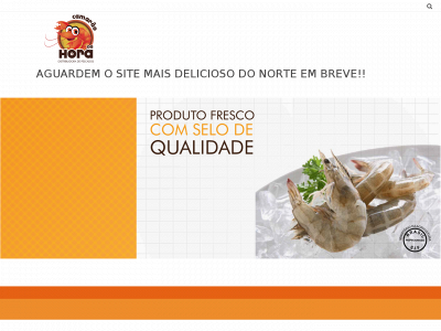 camaraodahora.com.br snapshot