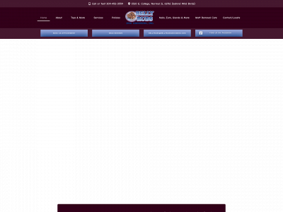 bellyrubsgrooming.com snapshot
