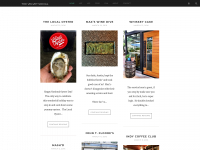 thevelvetsocial.com snapshot