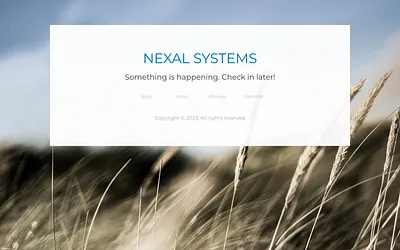 nexalsystems.com snapshot