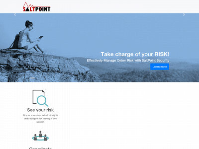 saltpointsecurity.com snapshot