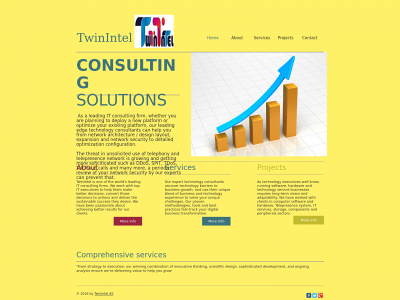 twinintel.com snapshot