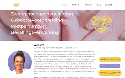 babyblueprint.nl snapshot