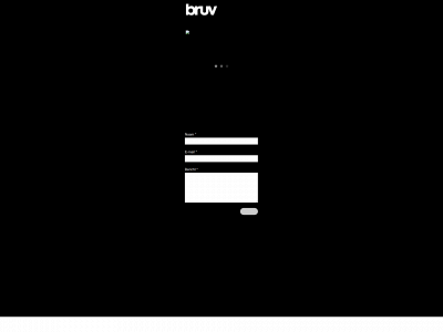 bruv.be snapshot