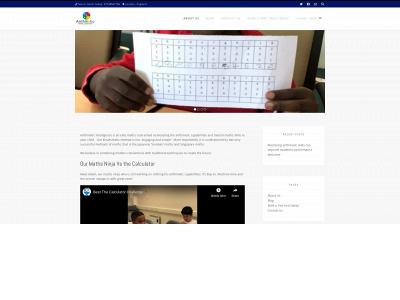 arithmeticintelligence.co.uk snapshot