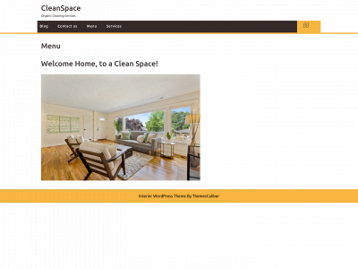 cleanspace2020.com snapshot