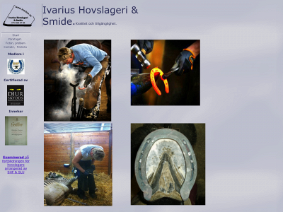 ivarius.se snapshot