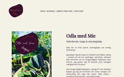 odlamedmie.se snapshot