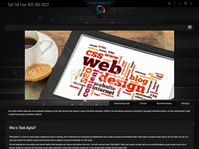 thinkdigitalit.com snapshot