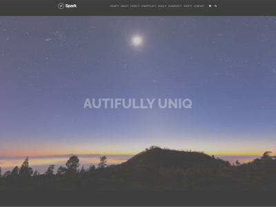bali-spirit.online snapshot