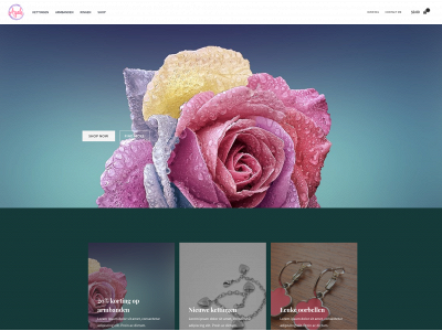 jewelleryshop-ayah.nl snapshot