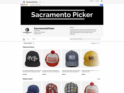 www.sacramentopicker.com snapshot