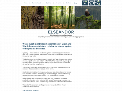 elseandor.com snapshot