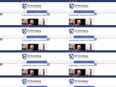 dzbeveiliging.nl snapshot