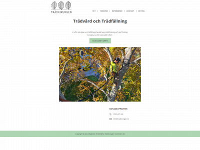 tradkirurgen.se snapshot