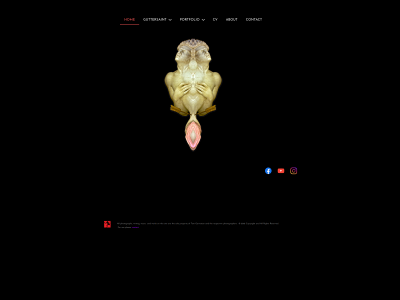 tomgarretson.com snapshot