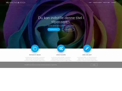 vel-hjemmesider.dk snapshot