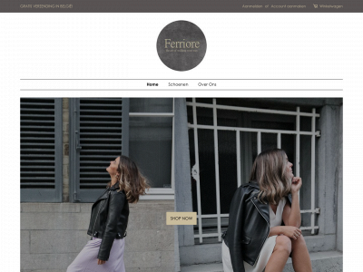 ferriore.com snapshot