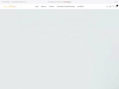 cleanrebellion.com snapshot