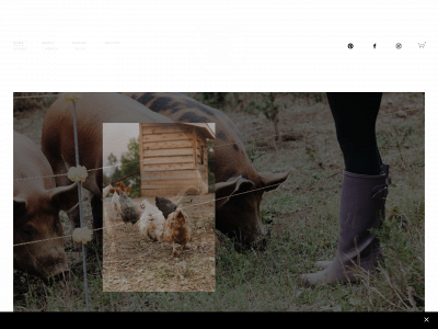 cedarandmoss.ca snapshot