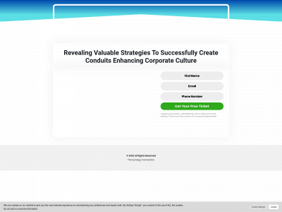 thesynergyconnection.com snapshot