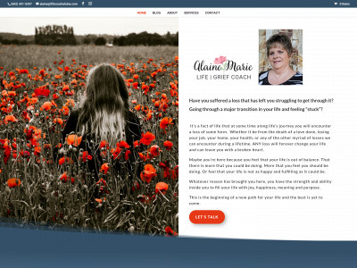 discoverdefinelive.com snapshot