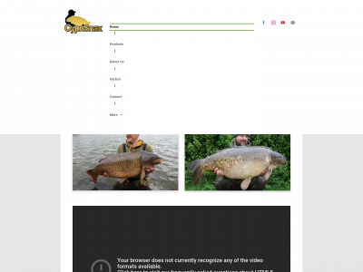 cyprisnax.co.uk snapshot