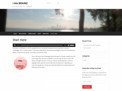 iatebrainz.com snapshot