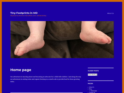 tiny-footprint.com snapshot