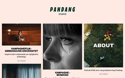 pandangstudio.dk snapshot