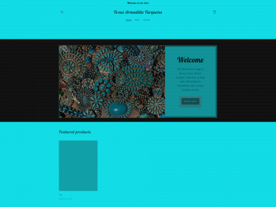 texasarmadilloturquoise.com snapshot