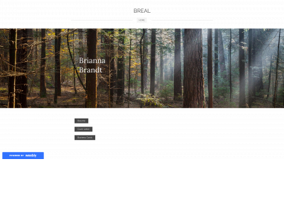 brandtresume.weebly.com snapshot